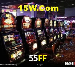 Experiência VIP 55FF
